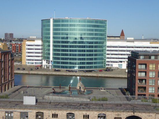 The Genetically Modified Little Mermaid