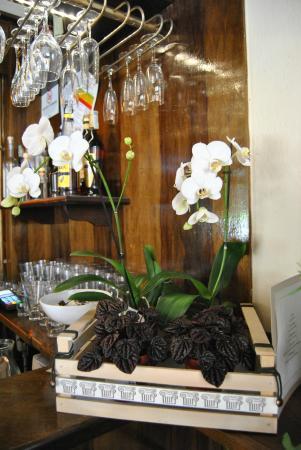 Ristorante Greco Vikos