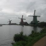 Teta Pasta & Schnitzel