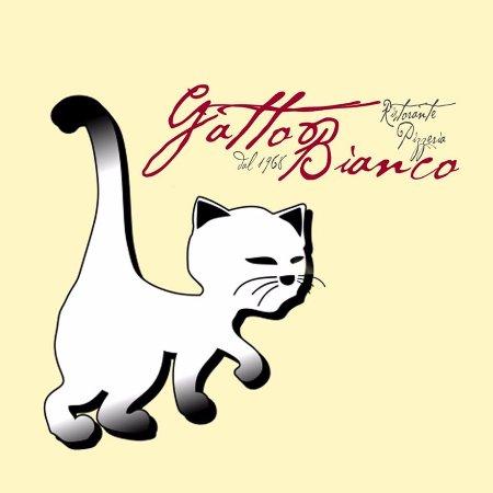 Gatto Bianco