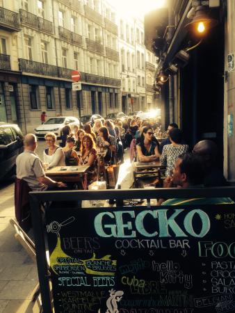 Gecko Cocktail Bar