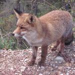 Habitantes Canas y Tapas