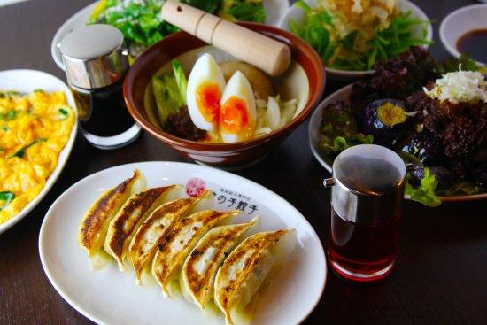 Toranoko Gyoza