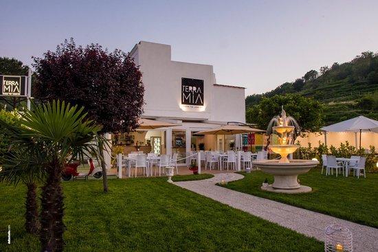 Terra Mia