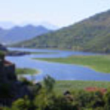 I Cugini DI Montagna