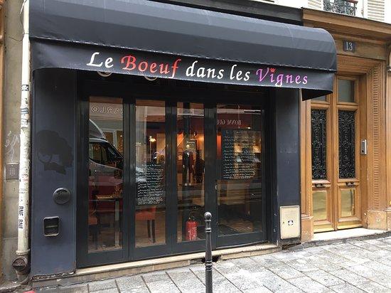 Le Boeuf Dans Les Vignes