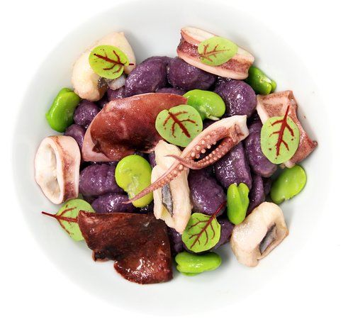 Urban Vineyard Area-UVA