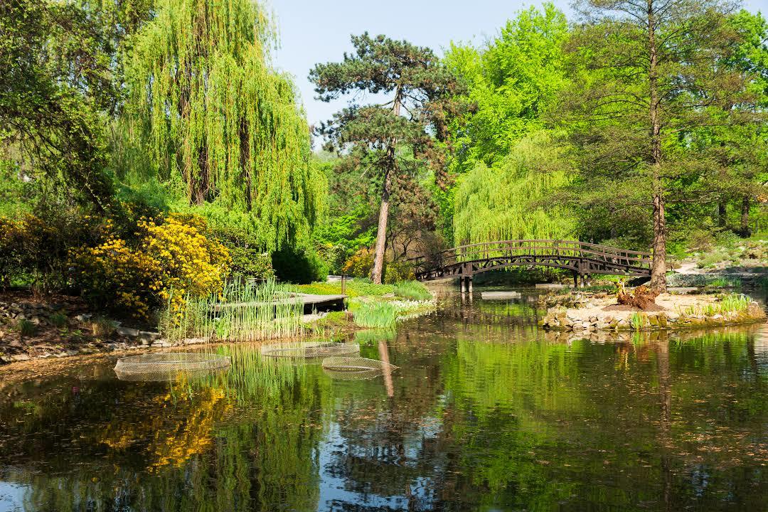 Szczytnicki Park