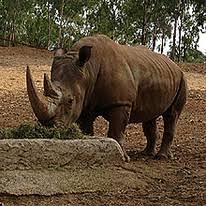 Reserva Natural El Castillo De Las Guardas