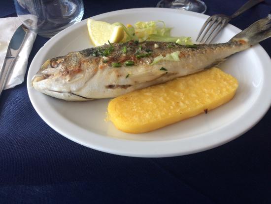 Pizzeria Ristorante le Scuderie