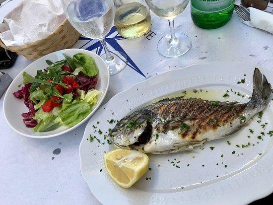 Bygerry Piccolo Ristoro