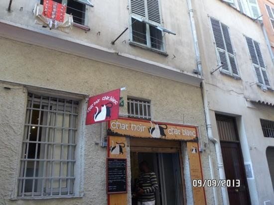 Chat noir chat blanc