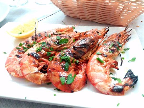 Trattoria Gesu Cristo