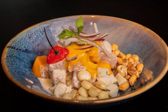 PISCOMAR by Jhosef Arias