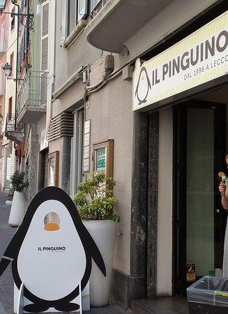 Gelateria Il Pinguino