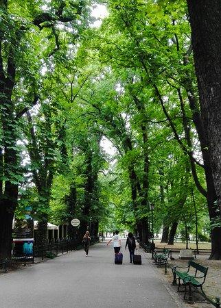 Cafe Gallery Zakopianka