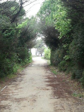 Bibione - Ciclabile del Tagliamento