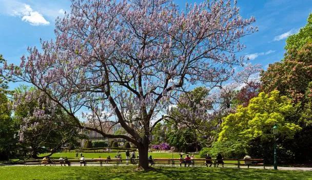 Parco cittadino di Vienna