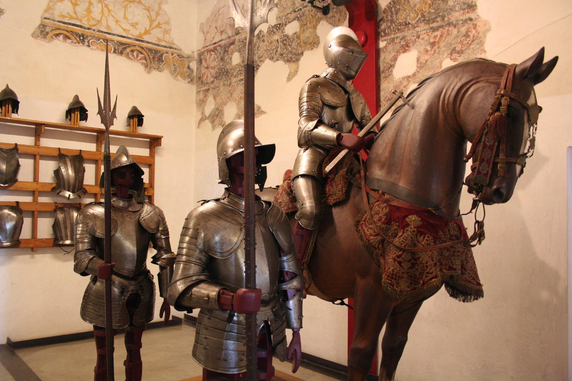 Museo di Scienze Naturali