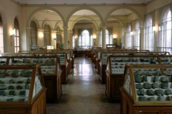 Museo di Mineralogia "Luigi Bombicci"