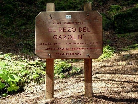 Il Pezo del Gazolin