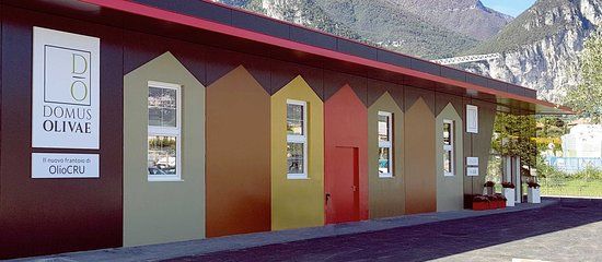 Domus Olivae