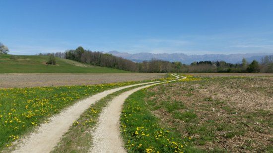 Ippovia della Valle del Cormor