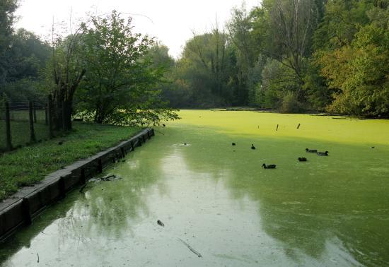 Parco della Vernavola
