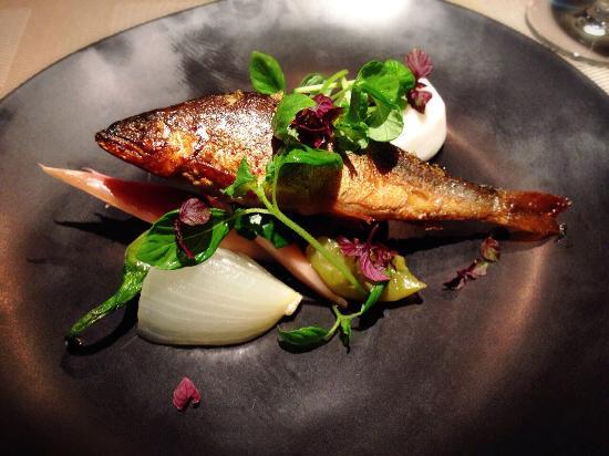 Cucina Italiana Todo