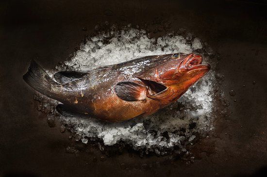 Ristorante Colapesce