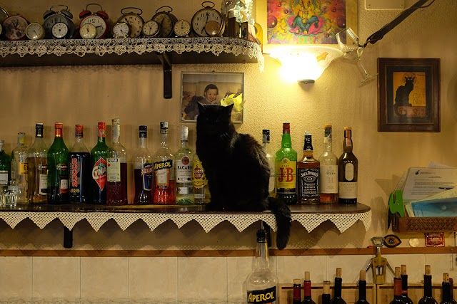 Antica Osteria Ruga Rialto