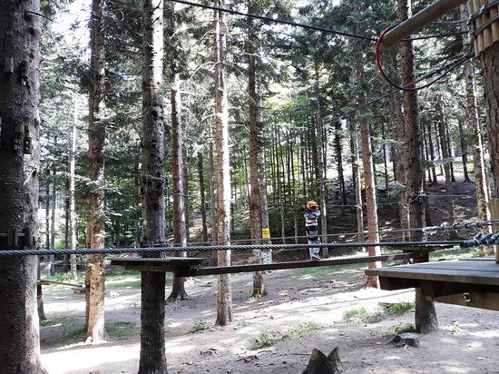 Adventure Park Cimone
