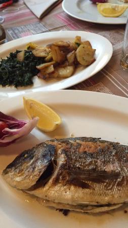 Ristorante Pizzeria Stella Alpina