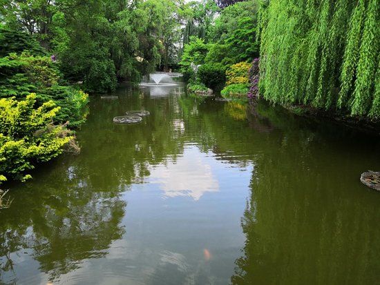 il Giardino Botanico di Wroclaw