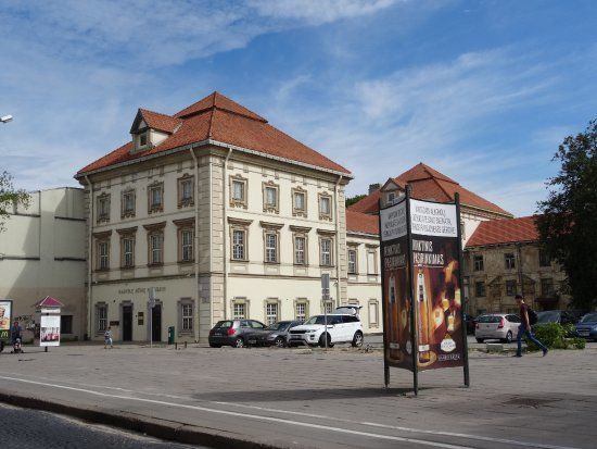 Museum of the Radvilas Palace