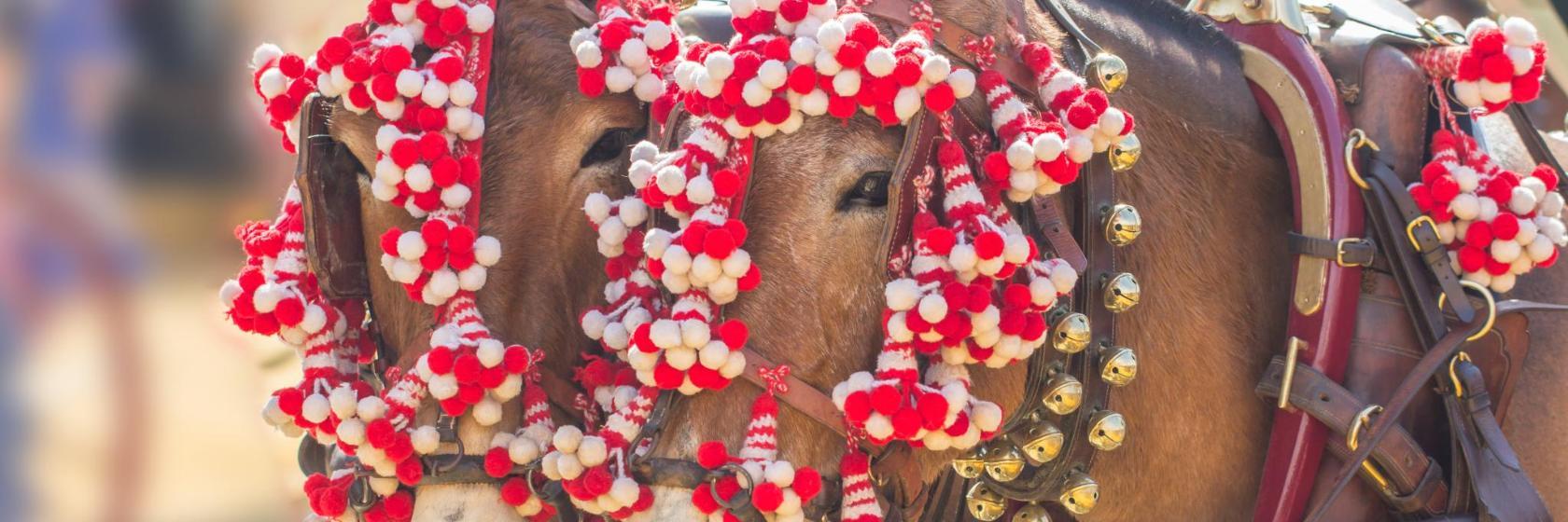 Arena Fieristica Real de la Feria