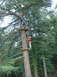 Parco Avventura Il Giardino Sospeso
