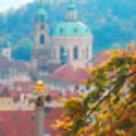 TORTE i to Grahorova